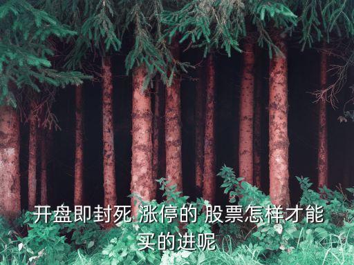  開(kāi)盤(pán)即封死 漲停的 股票怎樣才能買(mǎi)的進(jìn)呢