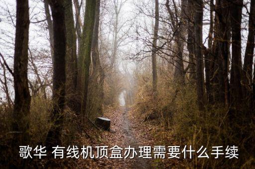  歌華 有線(xiàn)機(jī)頂盒辦理需要什么手續(xù)