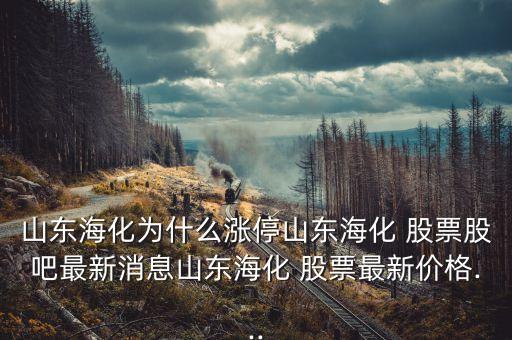 豐?？萍脊善惫蓛r(jià)