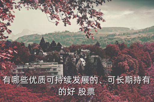 有哪些優(yōu)質(zhì)可持續(xù)發(fā)展的、可長(zhǎng)期持有的好 股票