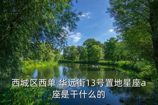 西城區(qū)西單 華遠(yuǎn)街13號(hào)置地星座a座是干什么的