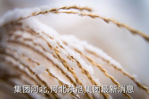 東旭集團河北,河北東旭集團最新消息