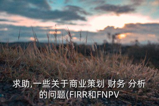 求助,一些關于商業(yè)策劃 財務 分析的問題(FIRR和FNPV