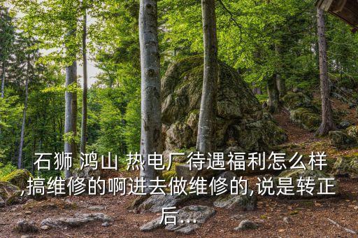  石獅 鴻山 熱電廠待遇福利怎么樣,搞維修的啊進去做維修的,說是轉正后...