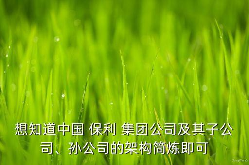 想知道中國 保利 集團(tuán)公司及其子公司、孫公司的架構(gòu)簡(jiǎn)煉即可