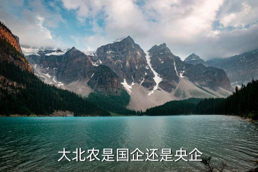  大北農是國企還是央企