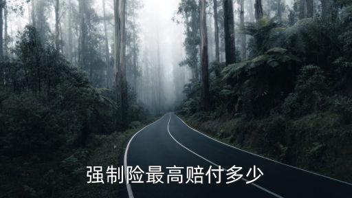 保險(xiǎn)公司最高賠償金額,事故人對保險(xiǎn)公司賠償?shù)慕痤~不滿意