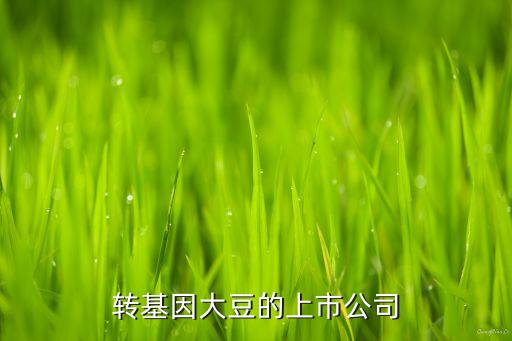 轉基因大豆的上市公司