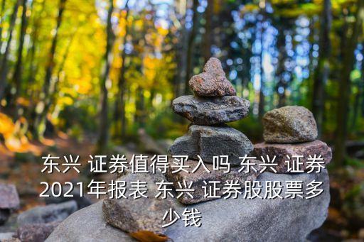  東興 證券值得買(mǎi)入嗎 東興 證券2021年報(bào)表 東興 證券股股票多少錢(qián)