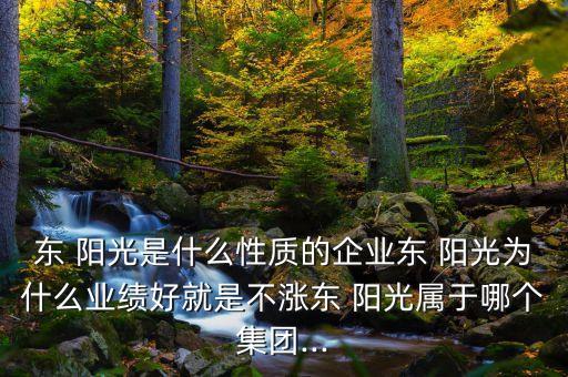 東 陽(yáng)光是什么性質(zhì)的企業(yè)東 陽(yáng)光為什么業(yè)績(jī)好就是不漲東 陽(yáng)光屬于哪個(gè)集團(tuán)...