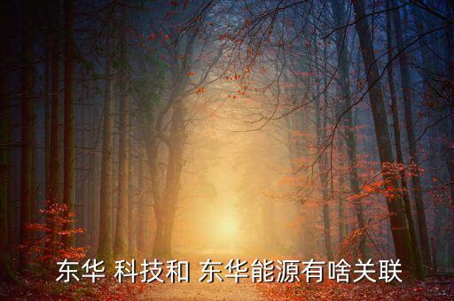  東華 科技和 東華能源有啥關聯(lián)