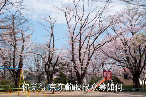 你覺得 京東的股權眾籌如何