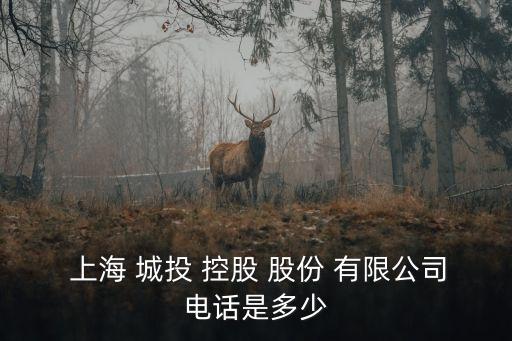  上海 城投 控股 股份 有限公司電話(huà)是多少
