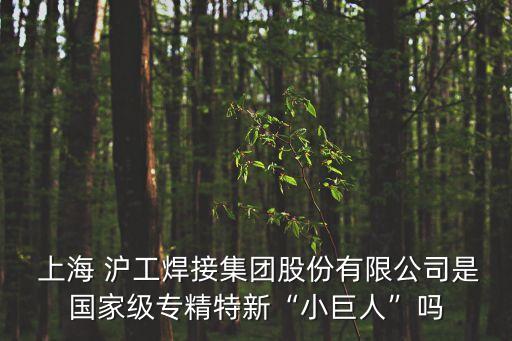  上海 滬工焊接集團(tuán)股份有限公司是國(guó)家級(jí)專精特新“小巨人”嗎