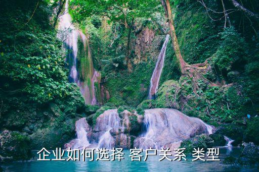 企業(yè)如何選擇 客戶關系 類型