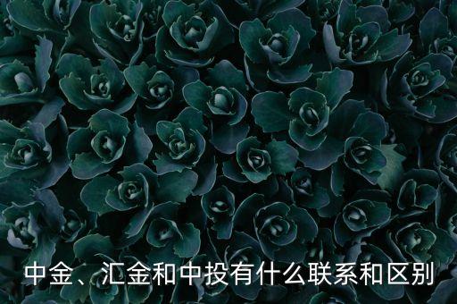 中金、匯金和中投有什么聯(lián)系和區(qū)別