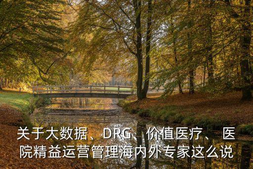 關于大數(shù)據(jù)、DRG、價值醫(yī)療、 醫(yī)院精益運營管理海內(nèi)外專家這么說