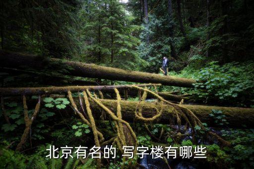 上海互聯(lián)網(wǎng)金融寫(xiě)字樓,上海欣機(jī)會(huì)互聯(lián)網(wǎng)金融怎么樣