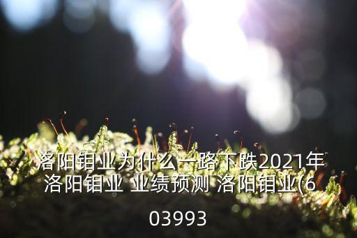  洛陽鉬業(yè)為什么一路下跌2021年 洛陽鉬業(yè) 業(yè)績預測 洛陽鉬業(yè)(603993
