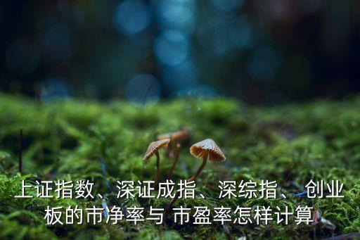 上證指數(shù)、深證成指、深綜指、 創(chuàng)業(yè)板的市凈率與 市盈率怎樣計算