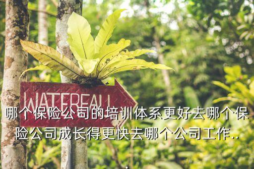 哪個保險公司的培訓體系更好去哪個保險公司成長得更快去哪個公司工作...
