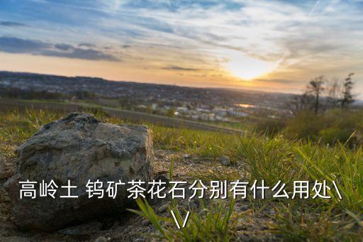 景德鎮(zhèn)鎢礦投資,江西景德鎮(zhèn)發(fā)現世界最大鎢礦