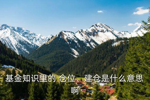 基金知識(shí)里的 倉(cāng)位、建倉(cāng)是什么意思啊