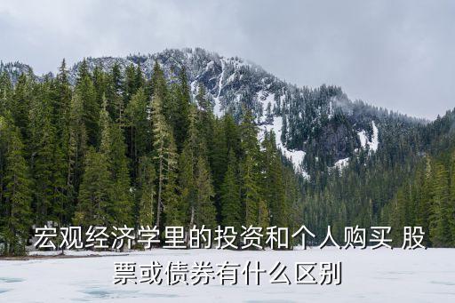  宏觀經(jīng)濟學(xué)里的投資和個人購買 股票或債券有什么區(qū)別