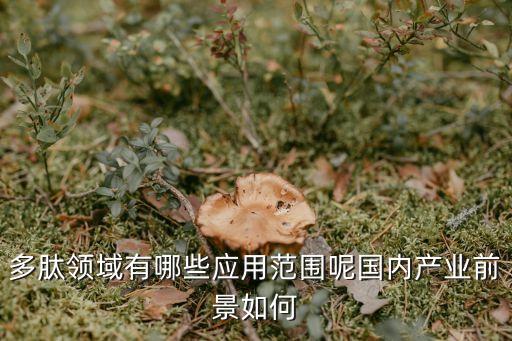 多肽領域有哪些應用范圍呢國內產業(yè)前景如何