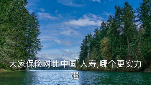 大家保險(xiǎn)對比中國 人壽,哪個(gè)更實(shí)力強(qiáng)