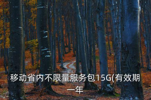 移動省內(nèi)不限量服務包15G(有效期一年