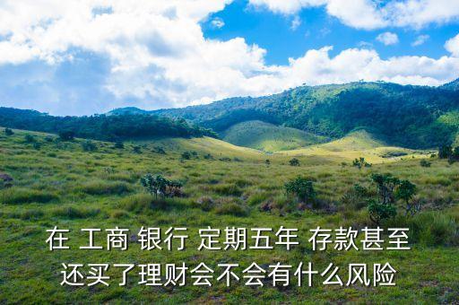 在 工商 銀行 定期五年 存款甚至還買了理財會不會有什么風(fēng)險