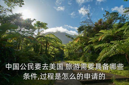 中國(guó)公民要去美國(guó) 旅游需要具備哪些條件,過程是怎么的申請(qǐng)的