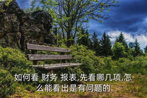 如何看 財務 報表,先看哪幾項,怎么能看出是有問題的