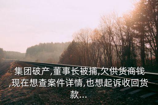  集團破產,董事長被捕,欠供貨商錢,現(xiàn)在想查案件詳情,也想起訴收回貨款...