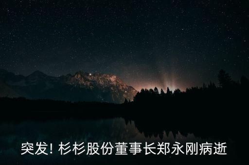 杉杉集團(tuán)財務(wù)報表