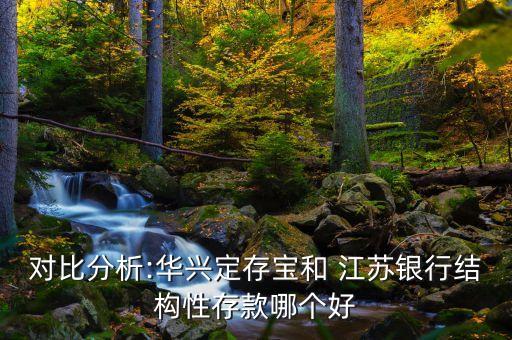 對比分析:華興定存寶和 江蘇銀行結(jié)構性存款哪個好