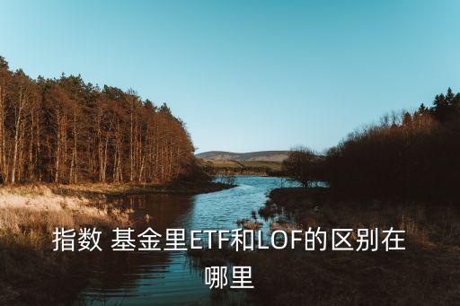 指數 基金里ETF和LOF的區(qū)別在哪里