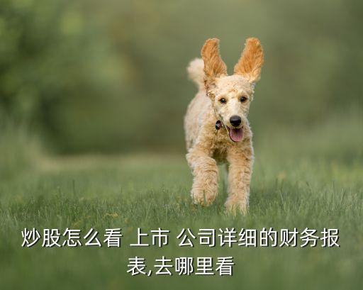 炒股怎么看 上市 公司詳細(xì)的財務(wù)報表,去哪里看