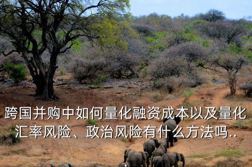 跨國并購中如何量化融資成本以及量化匯率風(fēng)險、政治風(fēng)險有什么方法嗎...