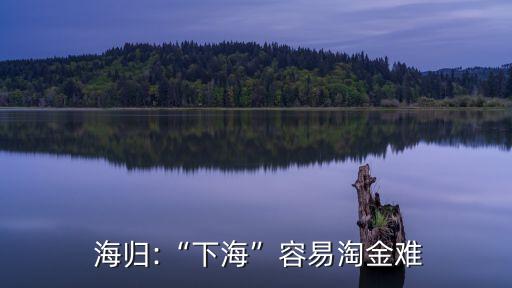  海歸:“下?！比菀滋越痣y
