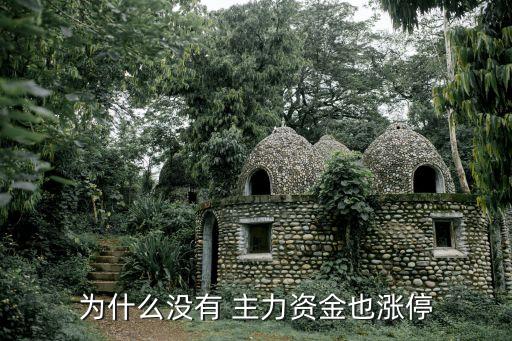股票沒主力機構,股票里面主力、機構分別是什么意思