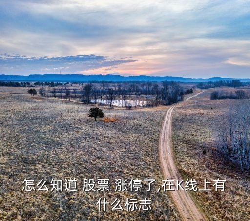 怎么知道 股票 漲停了,在K線(xiàn)上有什么標(biāo)志