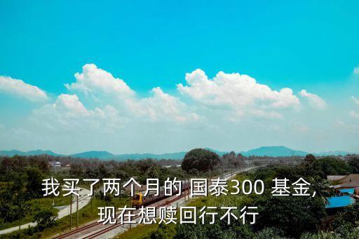 我買了兩個月的 國泰300 基金,現在想贖回行不行