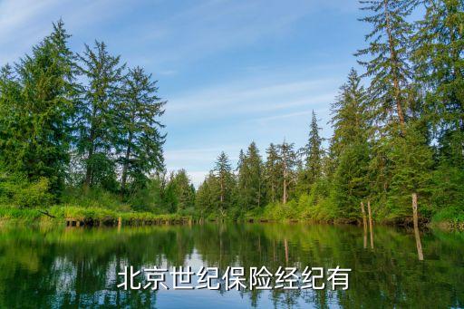  北京世紀保險經紀有