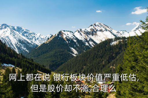 網(wǎng)上都在說 銀行板塊價(jià)值嚴(yán)重低估,但是股價(jià)卻不漲,合理么