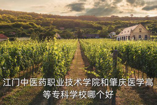 江門中醫(yī)藥職業(yè)技術(shù)學(xué)院和肇慶醫(yī)學(xué)高等?？茖W(xué)校哪個好