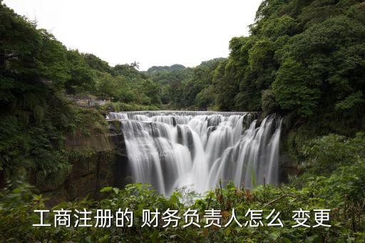 工商注冊的 財(cái)務(wù)負(fù)責(zé)人怎么 變更