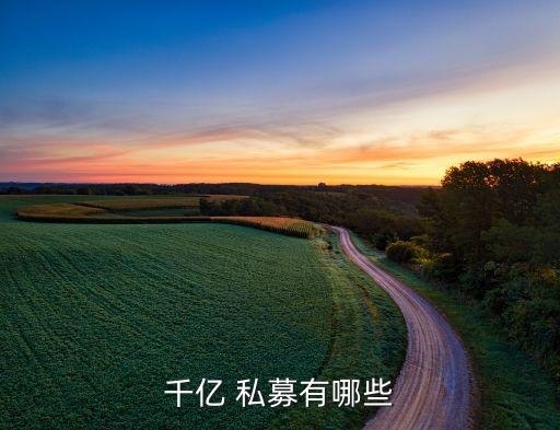私募股權投資機構(gòu)規(guī)模排名,pei全球私募股權投資機構(gòu)300榜單