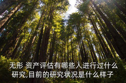  無(wú)形 資產(chǎn)評(píng)估有哪些人進(jìn)行過(guò)什么研究,目前的研究狀況是什么樣子